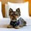 Hyatt Place Pasadena