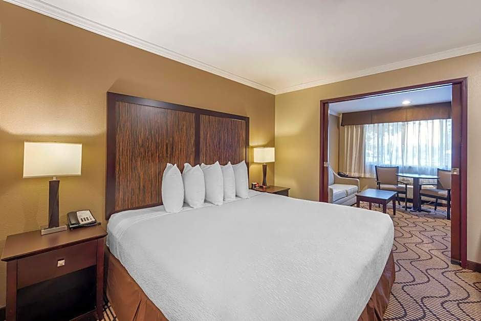 Best Western Plus Orchid Hotel & Suites