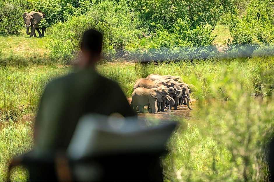 Leopard Sands, Kruger Park
