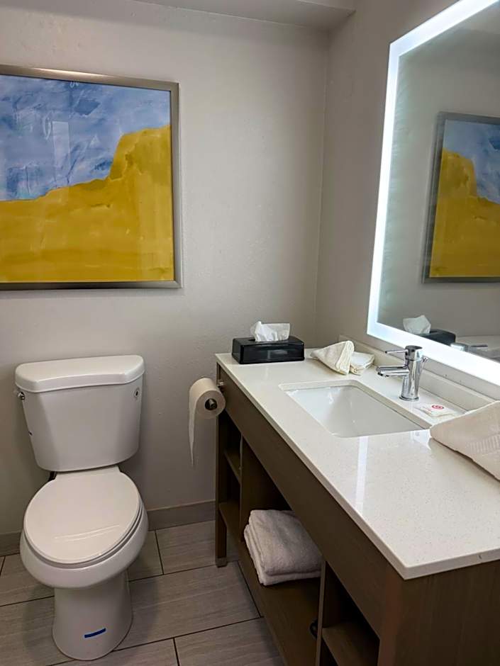 Comfort Inn & Suites Harvey - Chicago Southland