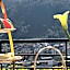 Sapa Village Hotel