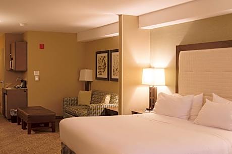 1 King Suite Extra Floor Space