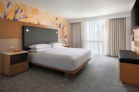 Room, 1 King Bed