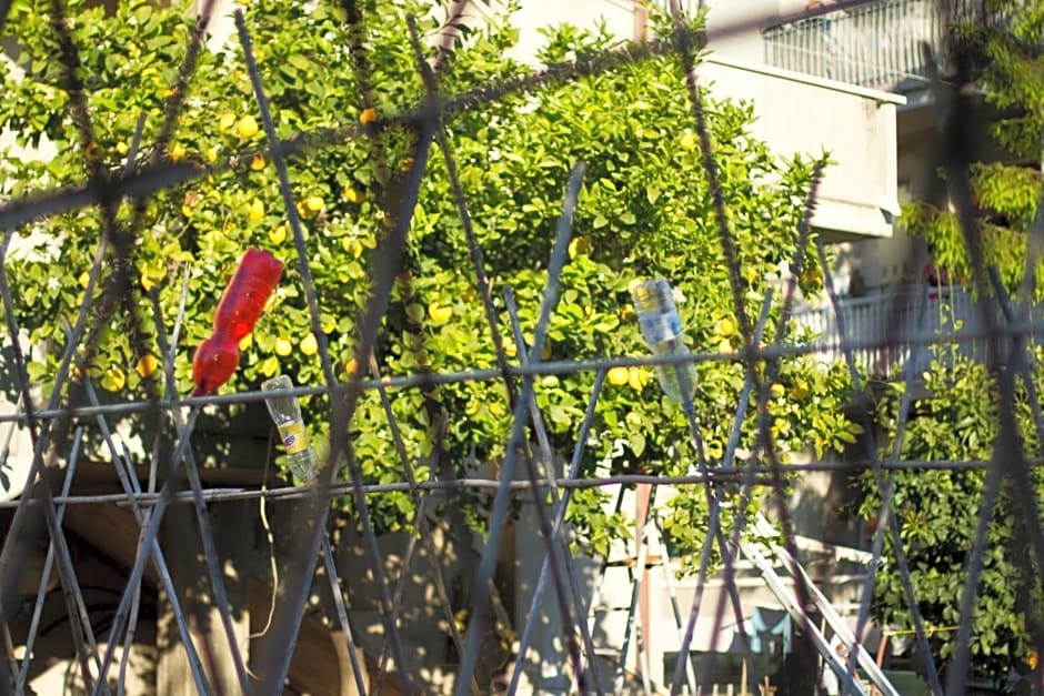 Arcobaleno B&B