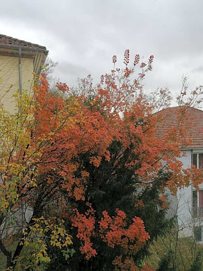 Gästehaus Goethe-Institut Schwäbisch Hall