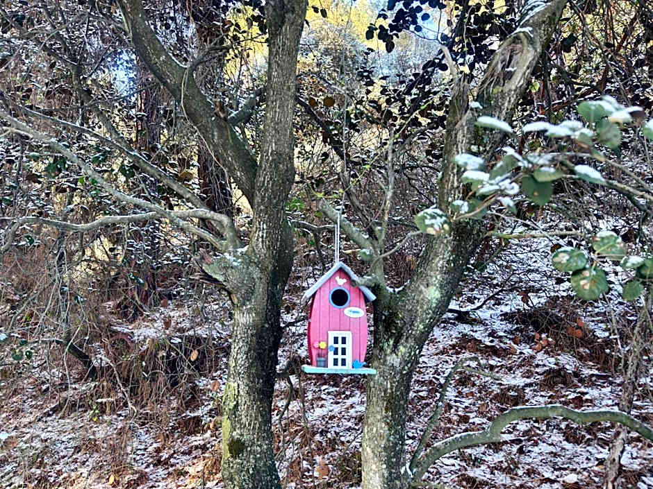 Rifugio Retreat Bed&Breakfast