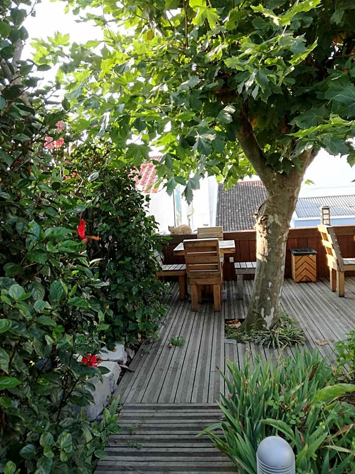 Pés Verdes-Alojamento e Chá