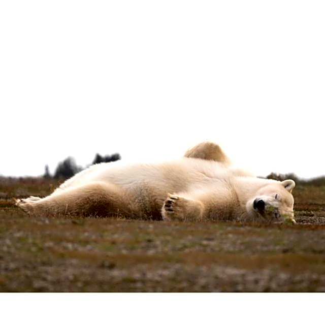 Bears Den Guest House