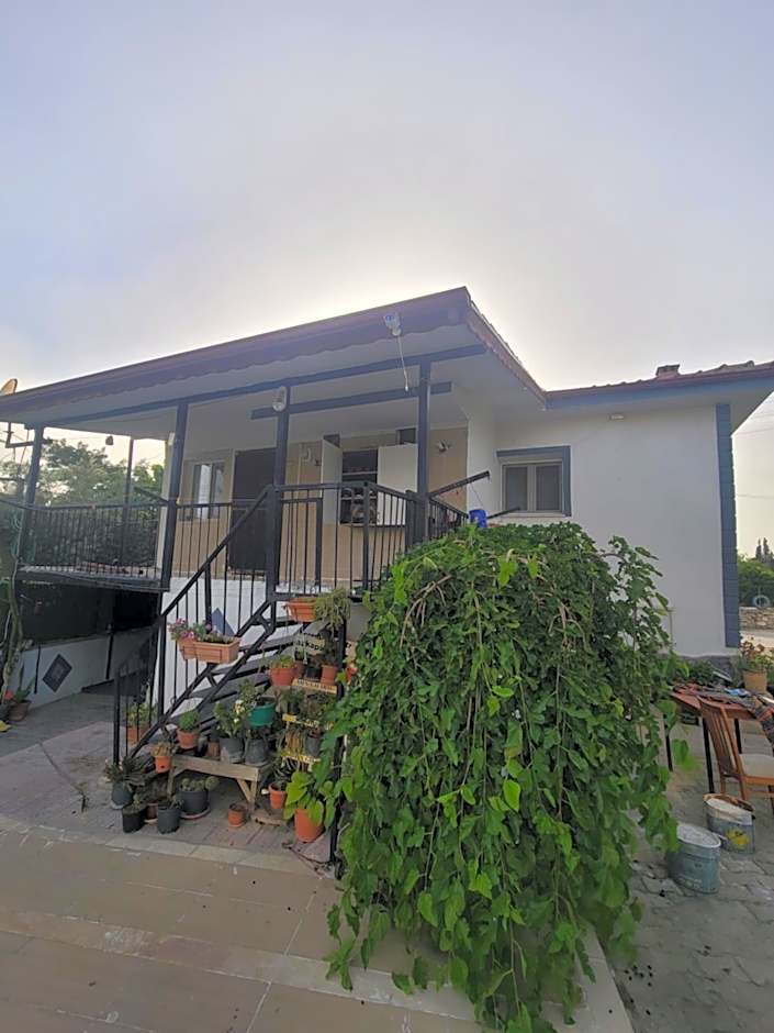 shah sultan Ozturk Hotel