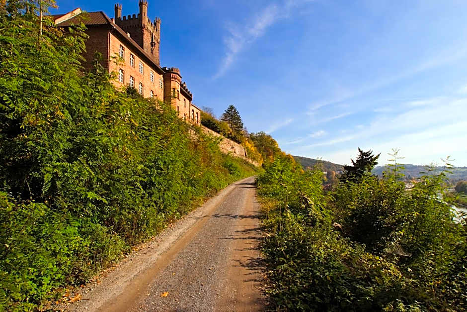 Hotel Hirsch