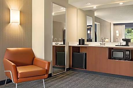 1 Bedroom 2 room Suite, 1 King, Sofa bed