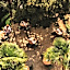 Parkhotel Mondschein