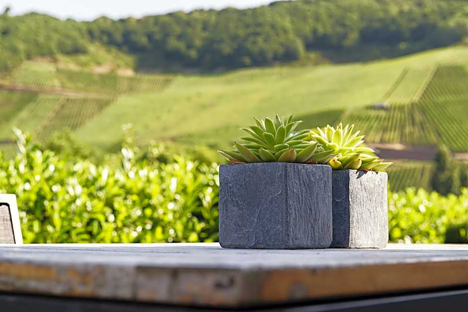 Weingut & Gästehaus Christoph Clüsserath