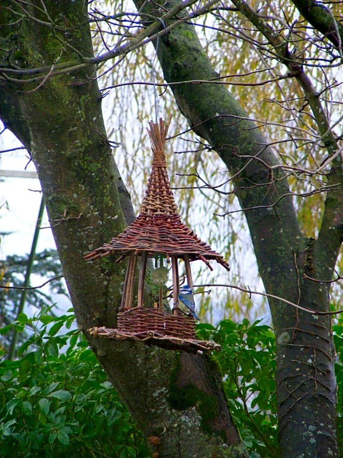 Chambres d'Hôtes Vignes et Loire