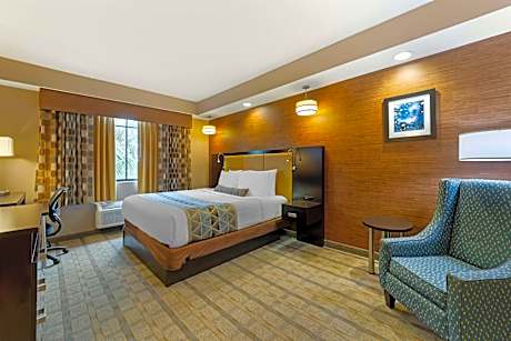 1 King Bed, Non-Smoking, Jetted Tub, Pillowtop Bed, Microwave And Refrigerator, Sofabed, Led Cable T