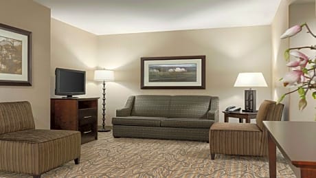 One-Bedroom King Suite