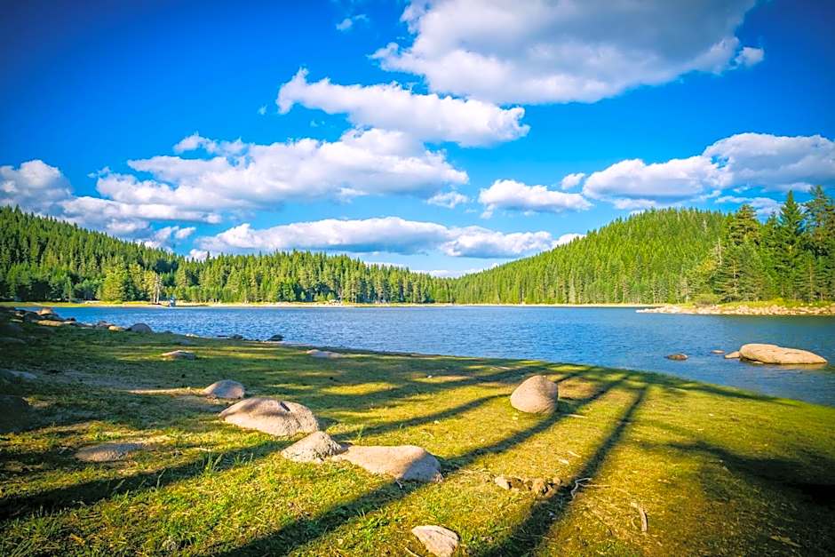 Romantica Forest Guest House