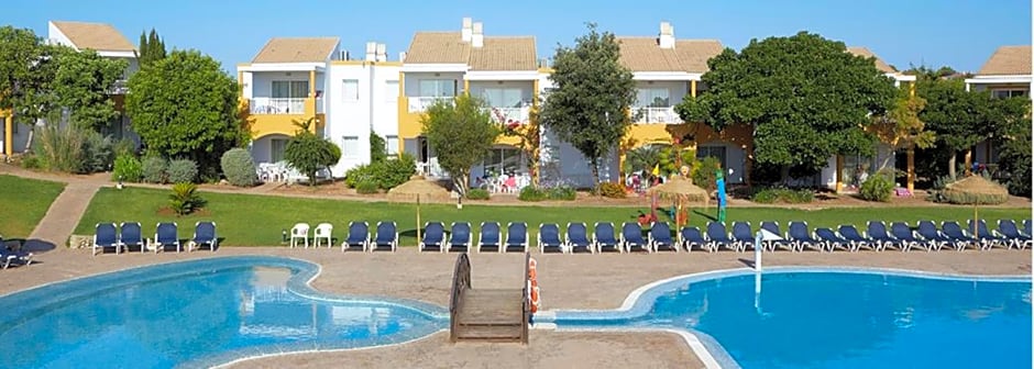 Comitas Isla del Aire