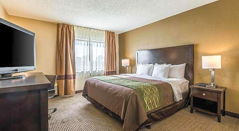 Comfort Inn Downtown