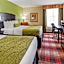 Best Western Plus Addison Dallas Hotel