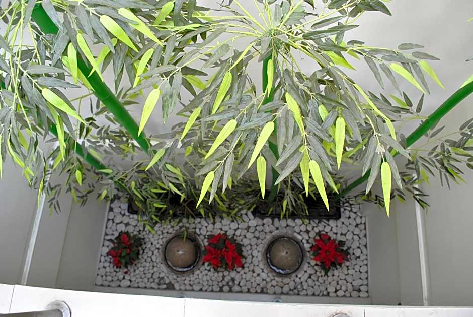 Hotel La Torre San Francisco