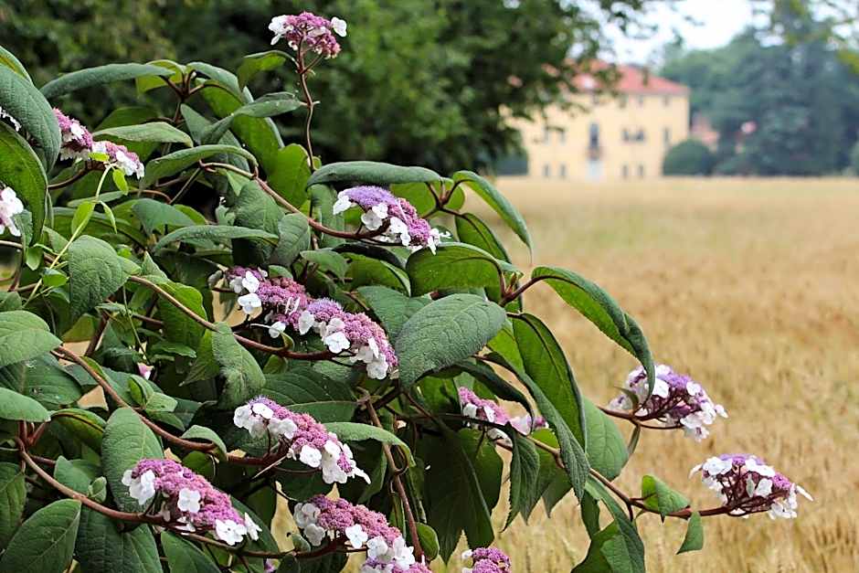 Agriturismo Il Torrione
