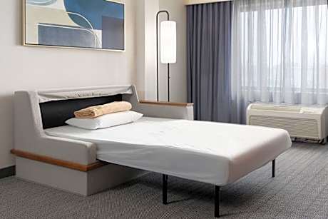 Larger Suite, 1 King, Sofa bed