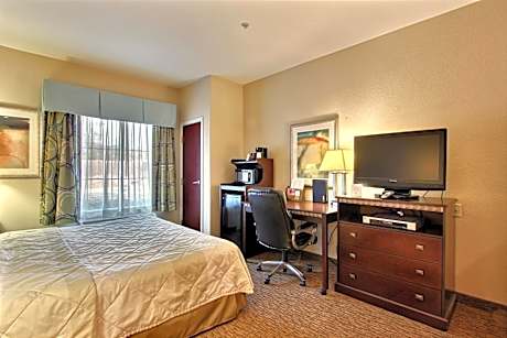 King Room - Non-Smoking