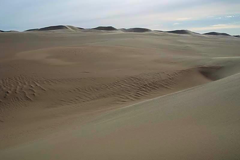 Western Desert Hotel & Safari