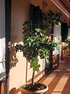 La dimora degli Etruschi