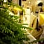 Santa Caterina da Siena B&B