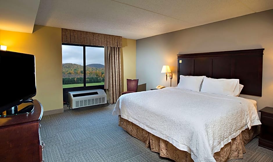 Photo 1 of 4 of 1 King Bed Suite, Hearing/Mobility Accessible, Bathtub