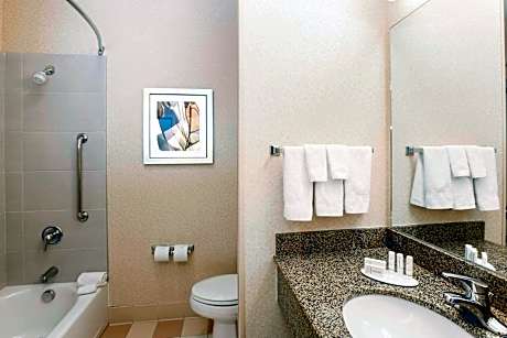 Studio, 2 Queen, Sofa bed