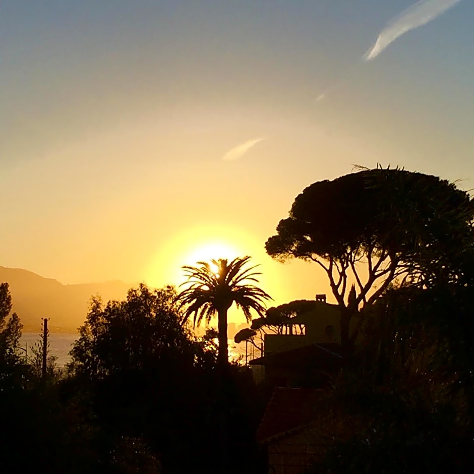 Villa Tricia Cannes
