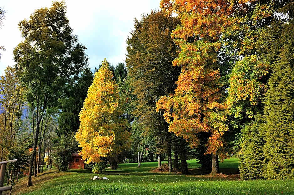 Fondazione Lucia De Conz