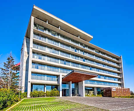 Wyndham Concepcion Pettra