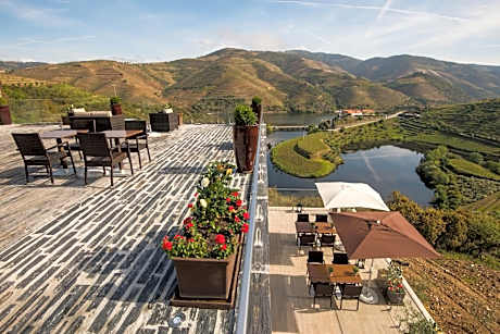 Vila Gale Douro Vineyards