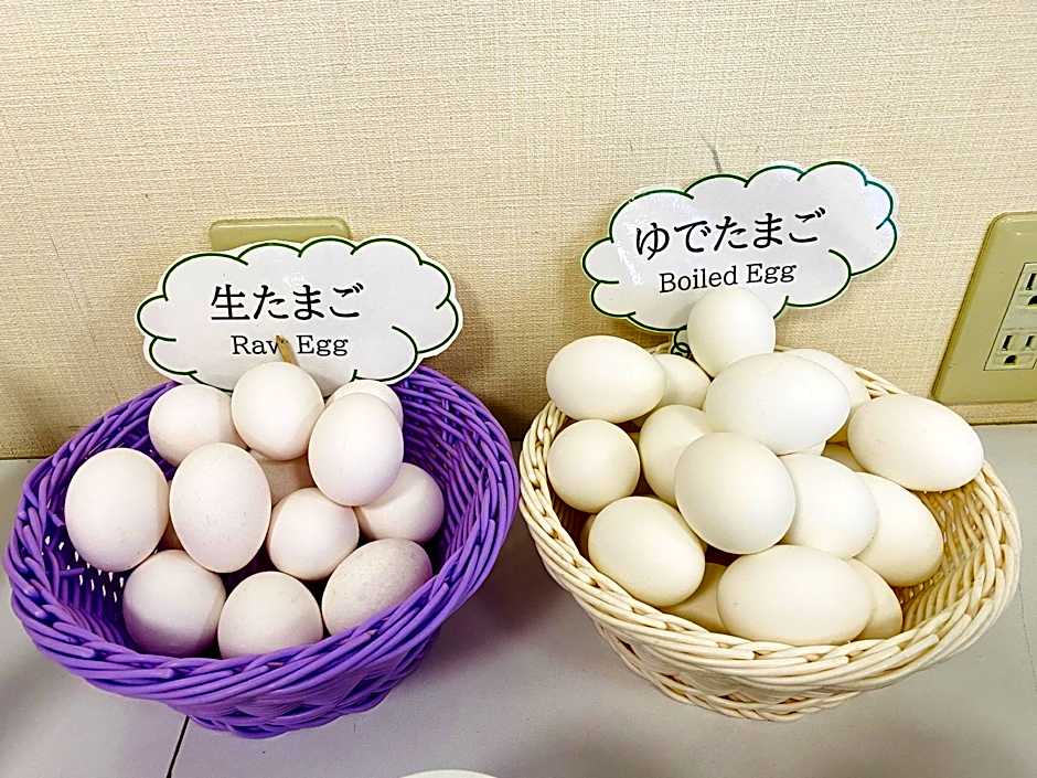 Center Hotel Narita 1