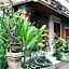 Seminyak Paradiso Hotel