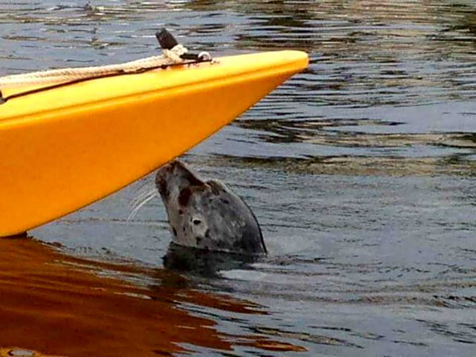 A Float Home B&B in Fisherman’s Wharf