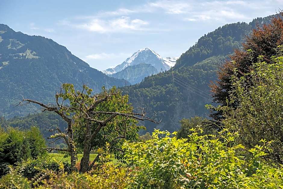 Salzano Basic Rooms Interlaken