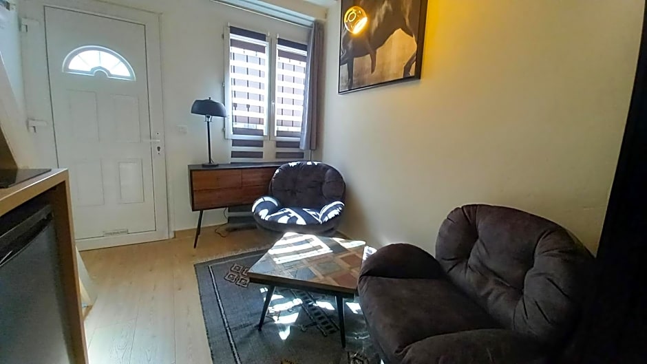Studio avec mezzanine
