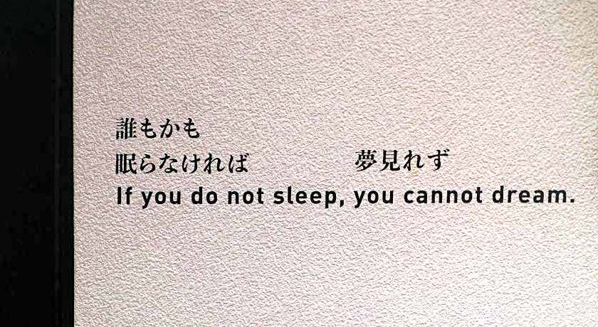 SLEEEP Fuji