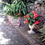Ashleigh House Bed & Breakfast
