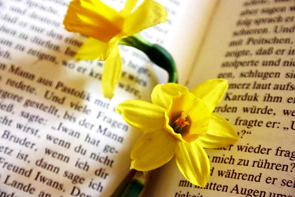 Panoramapension Etschblick