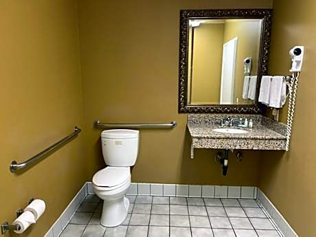 King Room - Accessible/Non-Smoking