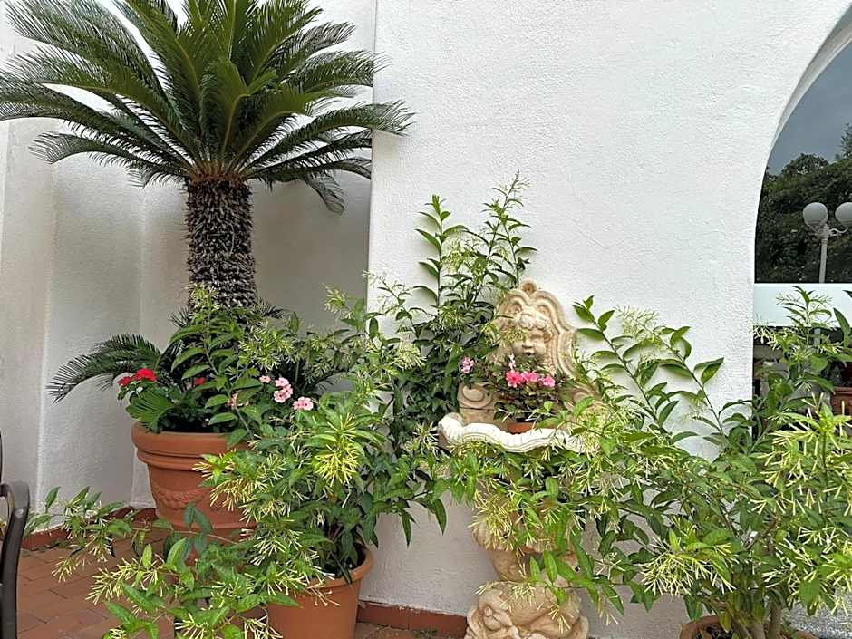 Hotel Park Calitto
