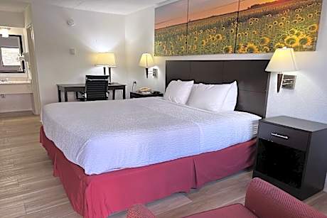 1 King Bed Accessible Room Non-Smoking