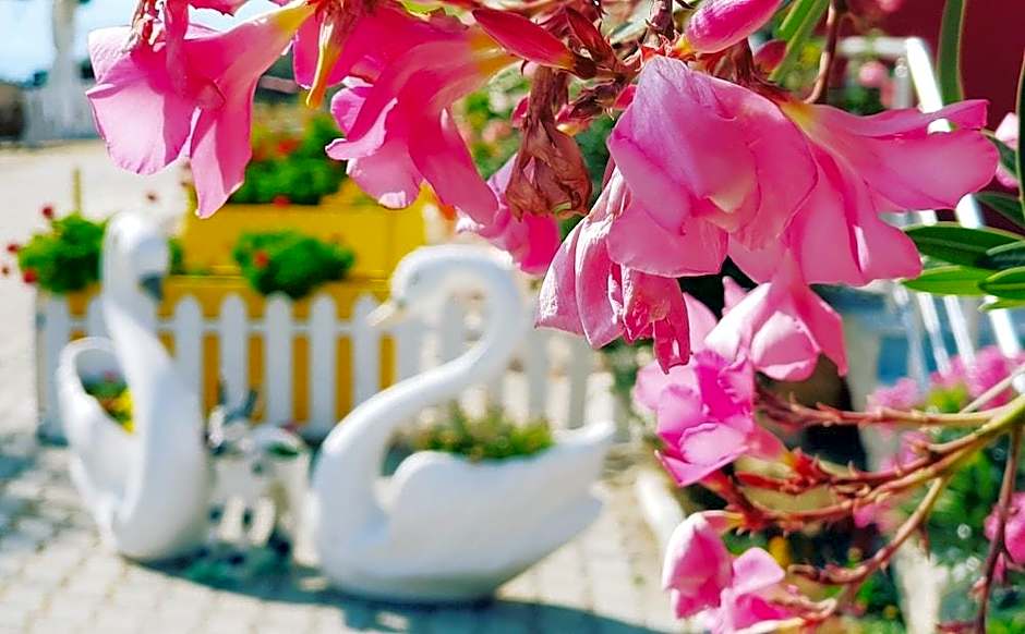 Ciftlik Butik Hotel