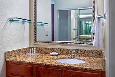 Suite, 1 Bedroom (1 King Bed and 1 Double Sofa Bed)